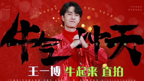 探尋王中王，揭秘發(fā)個王中王一肖中特背后的奧秘，揭秘王中王，探尋發(fā)個王中王一肖中特背后的神秘奧秘