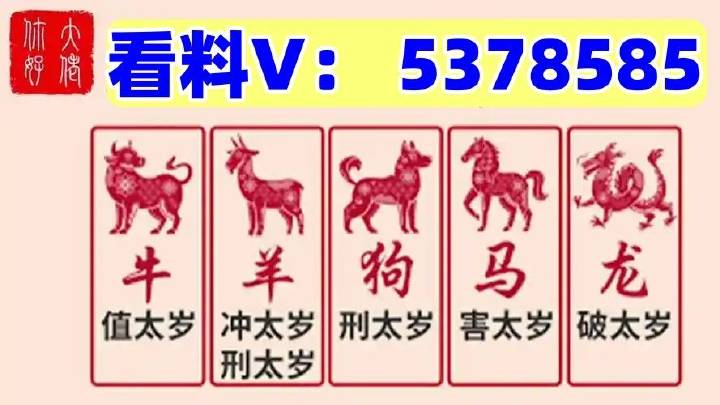 澳門(mén)馬站最快開(kāi)獎(jiǎng)結(jié)果，探索與解析，澳門(mén)馬站最新開(kāi)獎(jiǎng)結(jié)果解析