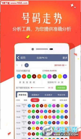 王中王四肖選一，揭秘選擇與優(yōu)化策略，王中王四肖選一，選擇與優(yōu)化策略的揭秘
