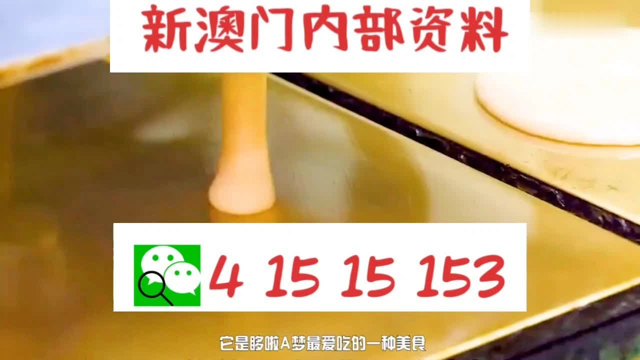 新澳門內(nèi)部十碼中特，探索與解析，新澳門內(nèi)部十碼中特，深度探索與解析