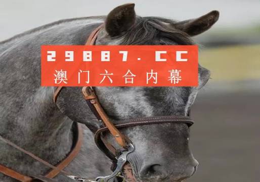 澳門一一碼一特一中準選今晚，探索真實有效的選擇與策略，澳門今晚一特一中準選碼，真實有效的選擇與策略探索