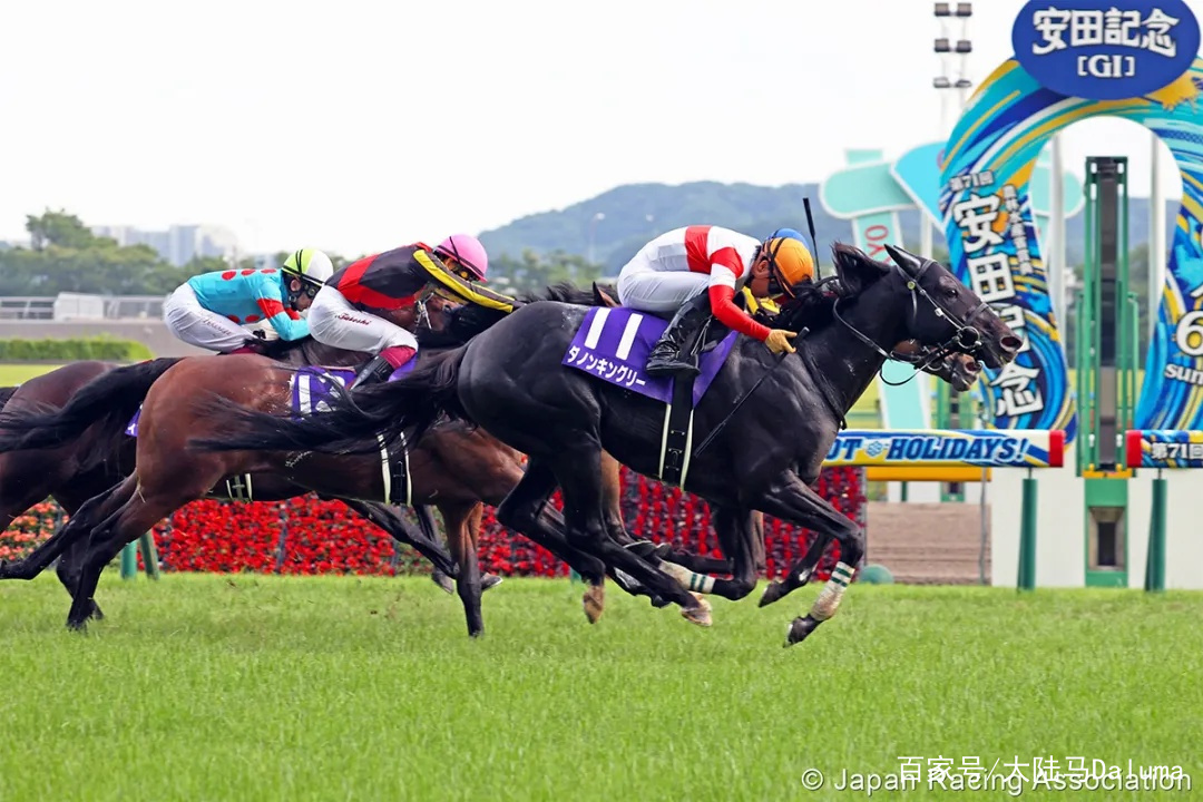 香港王中王與一馬中特肖的獨(dú)特魅力，深度解析與探索，香港王中王與一馬中特肖的獨(dú)特魅力，深度探索與解析