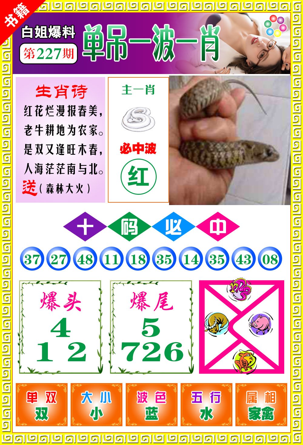 王中王免費(fèi)開獎一肖結(jié)果，揭秘彩票背后的秘密，揭秘王中王彩票開獎內(nèi)幕，一肖結(jié)果背后的秘密揭曉