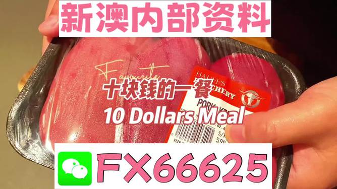 揭秘2025新澳精準(zhǔn)資料免費大全——一站式獲取最新資源，揭秘2025新澳精準(zhǔn)資料免費大全，最新資源一站式獲取