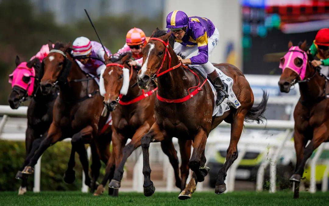 香港賽馬，探索賽馬運(yùn)動(dòng)的激情與榮耀之地——7777788888的獨(dú)特魅力，香港賽馬，激情與榮耀的獨(dú)特魅力探索——777778賽馬運(yùn)動(dòng)之地