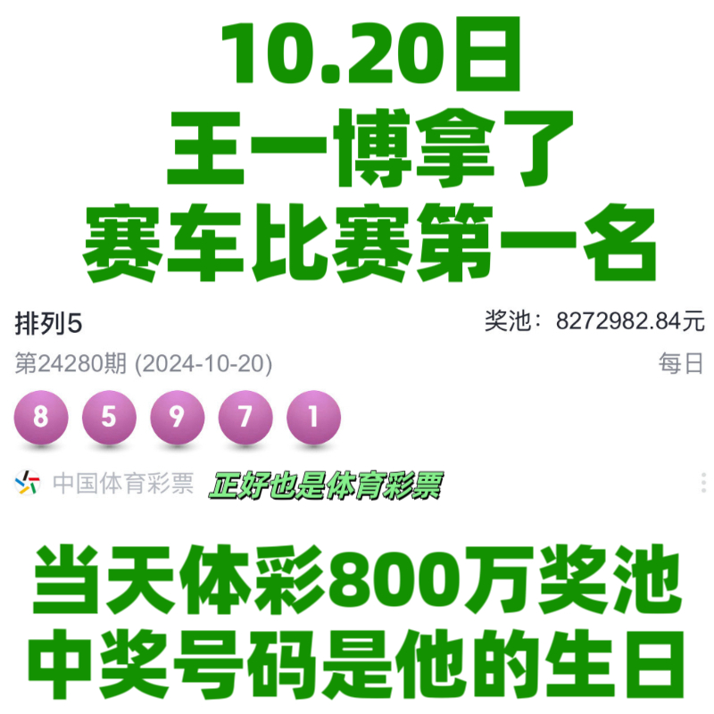 王中王一肖資料中特馬——深度解析與SEO洞察，王中王一肖特馬深度解析與SEO洞察揭秘