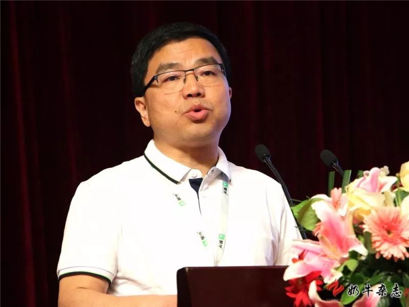 王中王一平特肖，揭秘第100期的秘密與策略，揭秘第100期秘密與策略，王中王一平特肖獨家解析