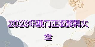 澳門資料大全正版資料查詢，探索澳門的文化與歷史深度之旅，澳門文化與歷史深度探索，正版資料大全及查詢指南