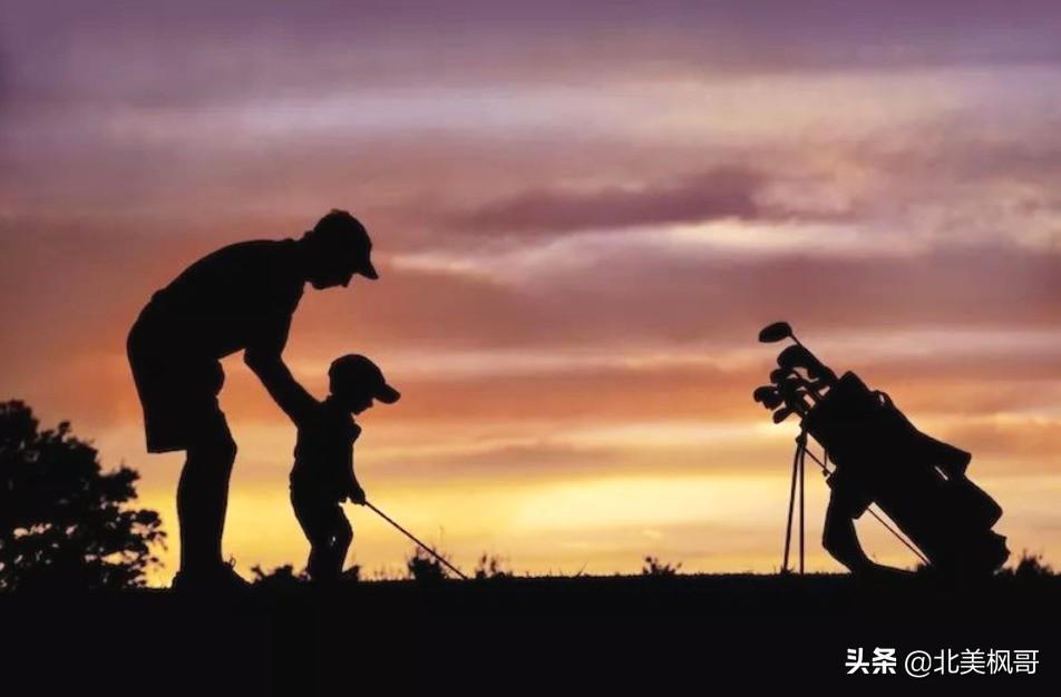 森林高手王中王與神秘生肖——深度解讀背后的故事與秘密，森林高手王中王與神秘生肖，故事背后的深度解讀與秘密探尋