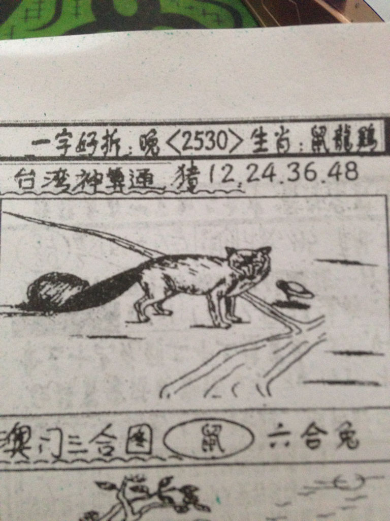 揭秘生肖奧秘，看圖猜一生肖劉伯溫的傳奇故事，揭秘生肖奧秘，劉伯溫傳奇故事中的生肖之謎探索