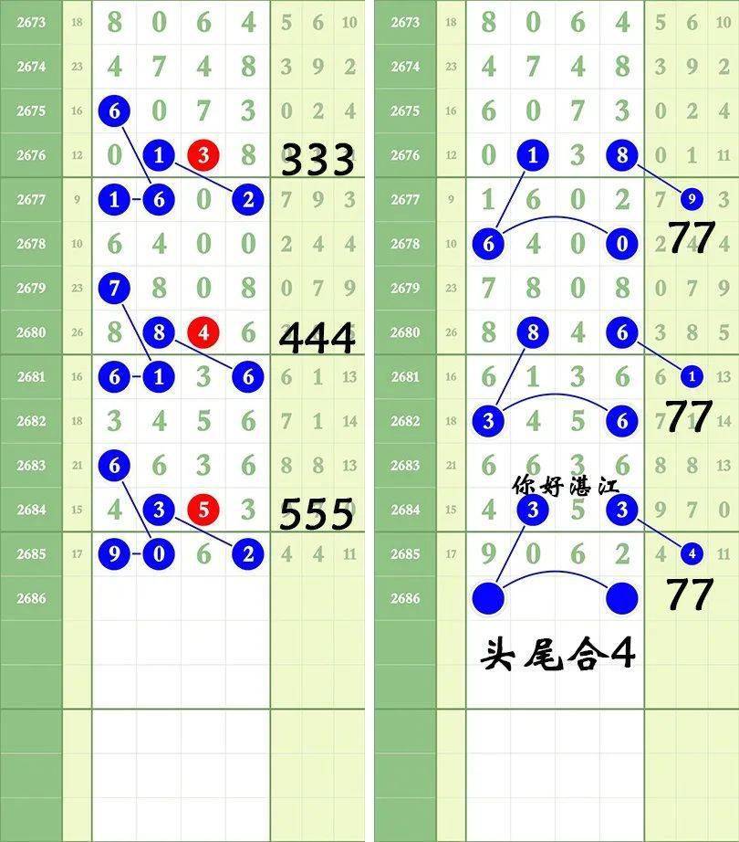 一肖三碼王中王絕密，揭秘背后的秘密與策略洞察，揭秘一肖三碼王中王絕密策略與背后秘密