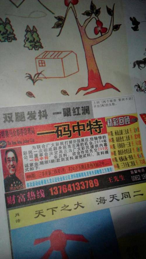 欲錢(qián)詩(shī)猜一肖——探尋王中王的奧秘，探尋王中王的奧秘，欲錢(qián)詩(shī)猜一肖