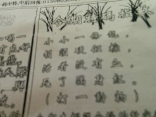 揭秘劉伯溫的一肖一特，探尋神秘傳奇背后的真相，劉伯溫傳奇揭秘，揭秘生肖之謎與獨(dú)特特質(zhì)背后的真相