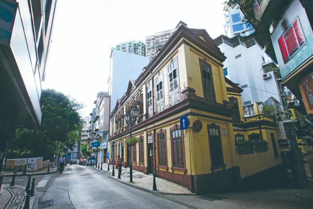 澳門(mén)今晚必開(kāi)一肖，揭秘生肖運(yùn)勢(shì)與預(yù)測(cè)邏輯，澳門(mén)今晚生肖預(yù)測(cè)揭秘，生肖運(yùn)勢(shì)與預(yù)測(cè)邏輯分析