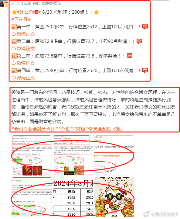 香港王中王一肖最準——揭秘精準預測的秘密，揭秘香港王中王一肖精準預測的秘密之道