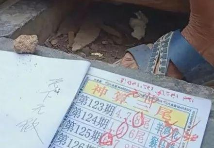 揭秘2025六開彩天天免費資料大全——獲取最新彩票資訊的寶藏之地，揭秘，2025六開彩天天免費資料大全——最新彩票資訊寶藏庫