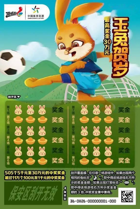 王中王一肖中特兔費(fèi)，探索關(guān)鍵詞背后的奧秘，探索關(guān)鍵詞王中王一肖中特兔費(fèi)背后的奧秘