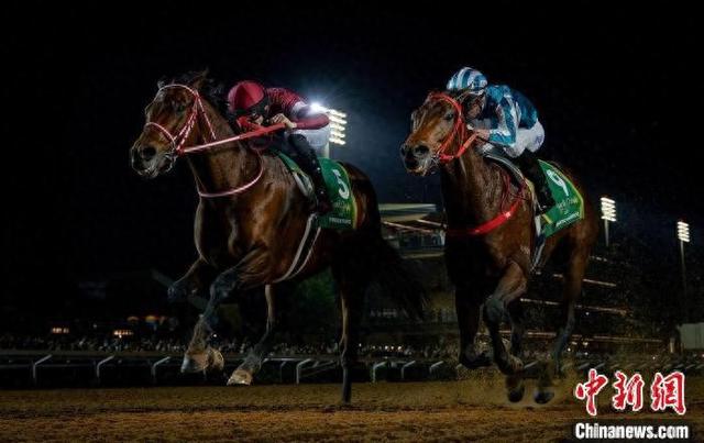 香港王中王一肖中特馬，探索背后的奧秘，香港王中王一肖中特馬背后的奧秘探索
