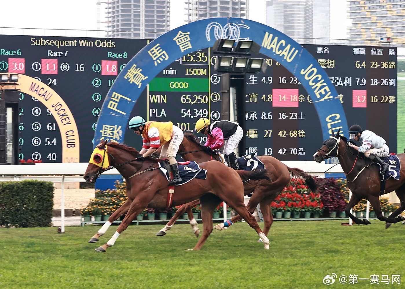 澳門馬今天開(kāi)什么特馬——探索澳門賽馬世界的奧秘，澳門賽馬揭秘，今日特馬探索之旅