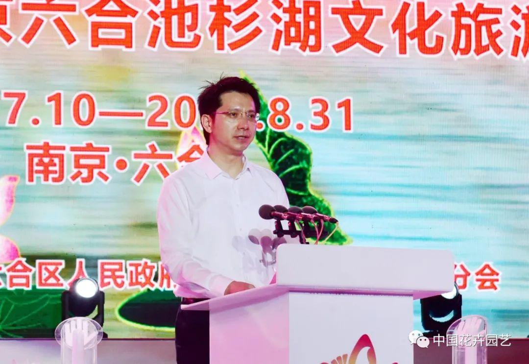 新奧門六和開獎結果今晚揭曉，熱門數字預測與最新趨勢分析，新奧門六和今晚開獎結果揭曉，熱門數字預測與趨勢分析