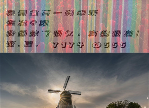 王中王四肖三期必出一期，揭秘彩票背后的秘密策略與技巧，揭秘彩票策略與技巧，王中王四肖三期必出一期之道