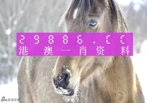 揭秘一肖一碼，澳門100%準(zhǔn)確預(yù)測(cè)背后的秘密，揭秘澳門一肖一碼預(yù)測(cè)背后的真相與秘密