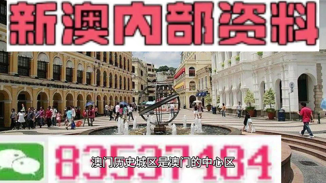 澳門(mén)精準(zhǔn)資料期期精準(zhǔn)，揭秘成功的秘訣與策略，澳門(mén)精準(zhǔn)資料揭秘成功秘訣與策略之道
