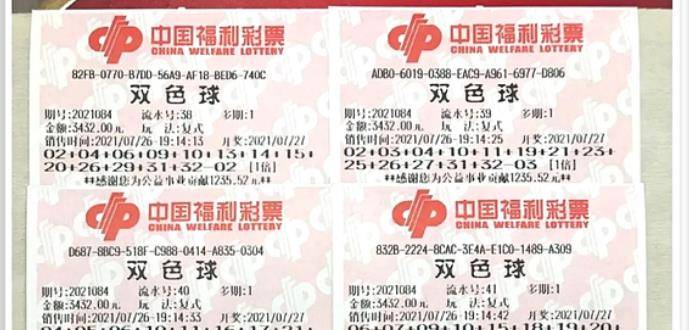 王中王084期指一生肖，解讀背后的秘密與生肖運勢分析，王中王084期生肖揭秘，秘密解讀與運勢展望