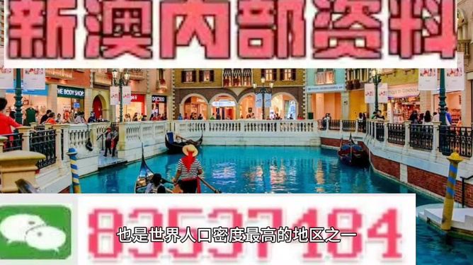澳門王中王六碼新澳門，探索與解析，澳門王中王六碼新澳門，深度探索與解析