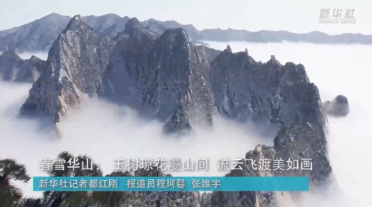 澳門最精準(zhǔn)龍門，探索真正的精準(zhǔn)之道，澳門最精準(zhǔn)龍門，揭秘真正的精準(zhǔn)之道