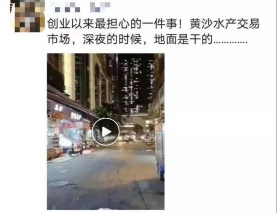 好料盡在王中王——揭秘生肖運勢的獨特魅力，揭秘生肖運勢獨特魅力，王中王好料大解密