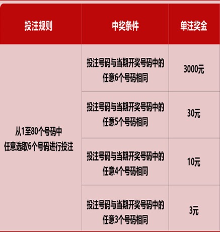 新澳門六開彩天天開獎(jiǎng)結(jié)果，揭秘彩票背后的秘密，揭秘新澳門六開彩天天開獎(jiǎng)背后的秘密