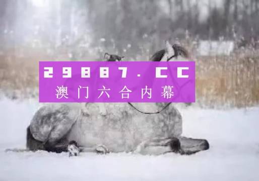 澳門正版精準(zhǔn)資料，探索未來(lái)的趨勢(shì)與機(jī)遇（2024年展望），澳門正版精準(zhǔn)資料揭秘，未來(lái)趨勢(shì)與機(jī)遇展望（2024年）