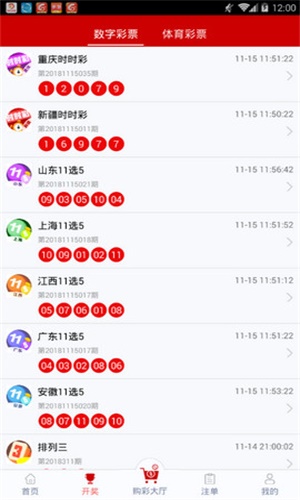 一碼一肖，揭秘背后的秘密與探索其獨(dú)特魅力，揭秘一碼一肖背后的秘密與獨(dú)特魅力探索