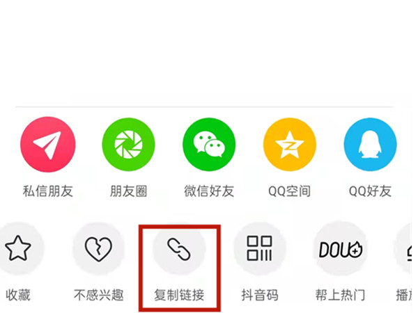 白小姐王中王中特一肖，神秘傳奇與SEO探索，神秘傳奇與SEO探索，白小姐王中王中特一肖的奧秘