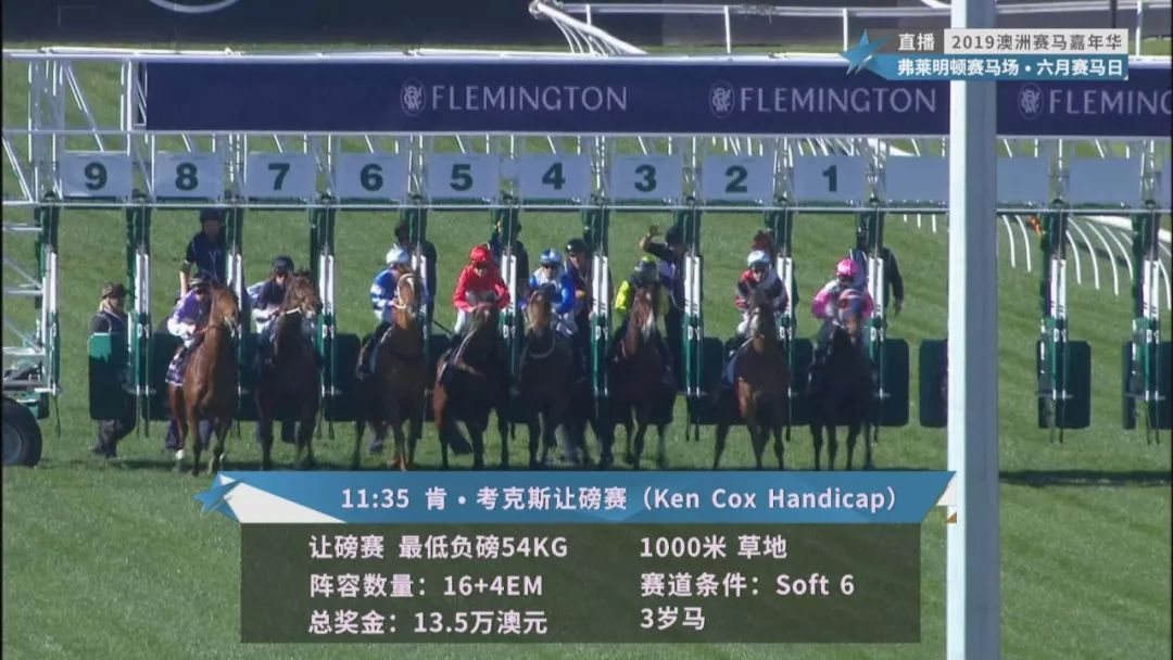 賽馬澳門六月開獎結(jié)果，探索與期待，澳門六月賽馬開獎揭曉，探索結(jié)果引期待