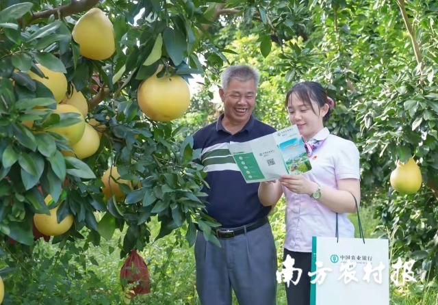 資料大全正版資料2025，一站式獲取所有你需要的信息，資料大全正版資料2025，一站式獲取所有信息總匯