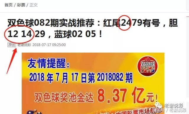 王中王082期指一生肖——探尋生肖魅力，洞悉運勢奧秘，探尋生肖魅力，揭秘運勢奧秘——王中王生肖運勢解析 082期