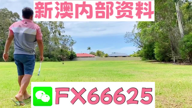 王中王一碼二肖，揭秘背后的秘密，揭秘王中王一碼二肖背后的秘密