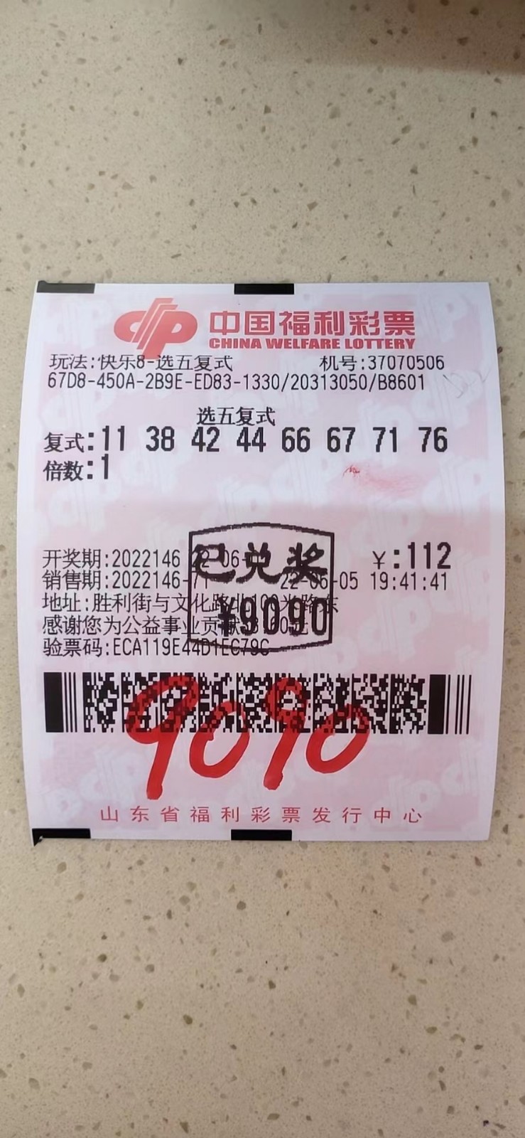 揭秘002期王中王平特一肖，背后的故事與奧秘，揭秘王中王平特一肖背后的故事與奧秘（第002期）