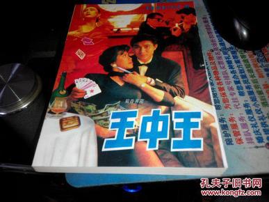 王中王資料一肖中特小說，深度解析與探索，王中王資料一肖中特小說的深度解析與探索之旅