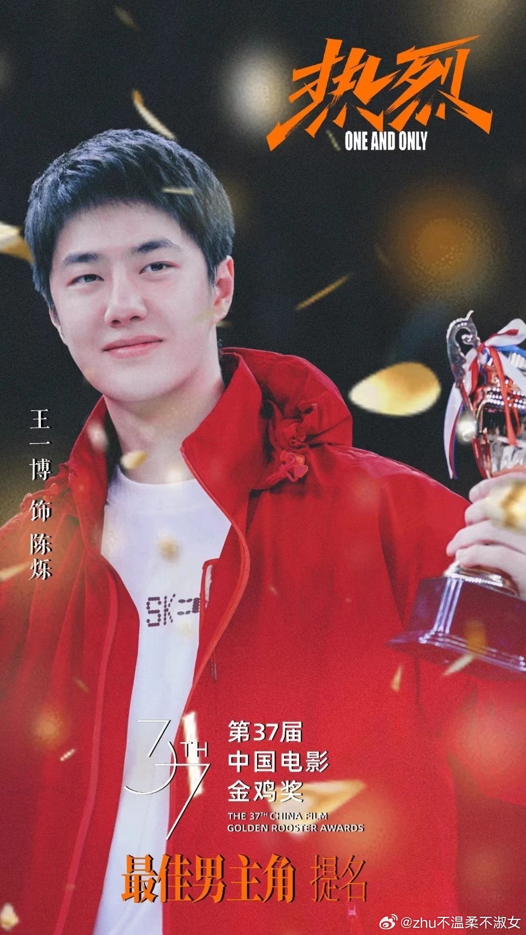 王中王一肖一特一中一中，探尋背后的故事與奧秘，探尋王中王一肖背后的故事與奧秘