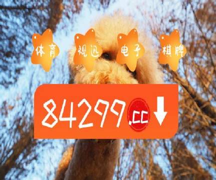 澳門天天開彩好正版掛牌第168期，探索彩票的魅力與策略，澳門彩票探索，魅力與策略揭秘 第168期正版掛牌開彩體驗