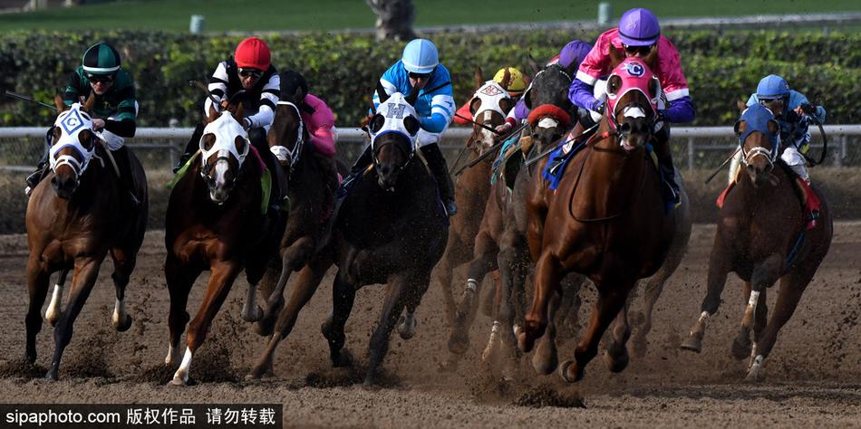 王中王與一馬中特，探尋生肖之魅力——關于生肖屬相的獨特解讀，揭秘生肖魅力，王中王與一馬中特的獨特解讀