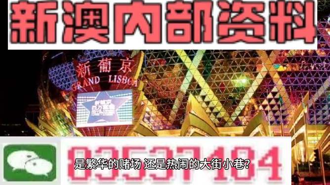 新澳門精準(zhǔn)資料大全管家婆料，探索與解析，澳門精準(zhǔn)資料大全解析，探索管家婆料內(nèi)幕