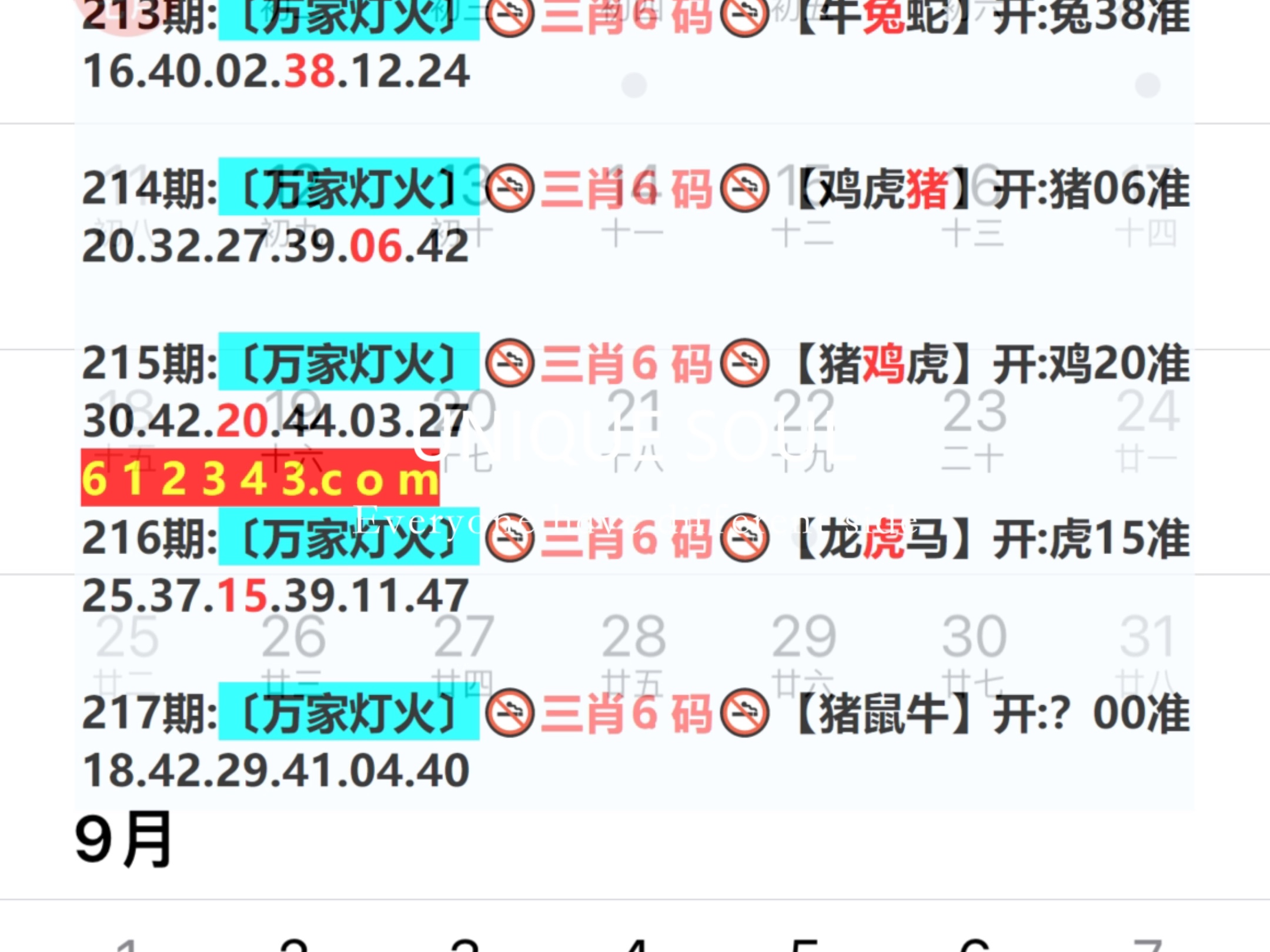 新奧今日六肖中特，揭秘背后的秘密與趨勢分析，揭秘新奧今日六肖中特背后的秘密與趨勢分析