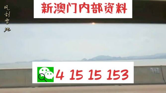 新澳2025最新資料生肖，深度解析與預(yù)測展望，新澳2025最新生肖資料深度解析與未來預(yù)測展望
