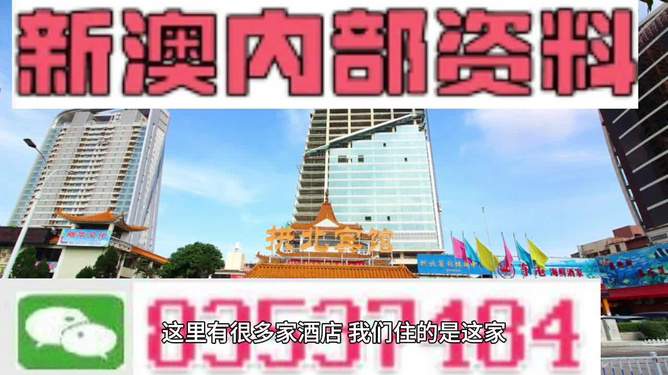 新澳內(nèi)部期期精準，深度解析與SEO優(yōu)化策略，新澳內(nèi)部期期精準深度解析與SEO優(yōu)化策略探討