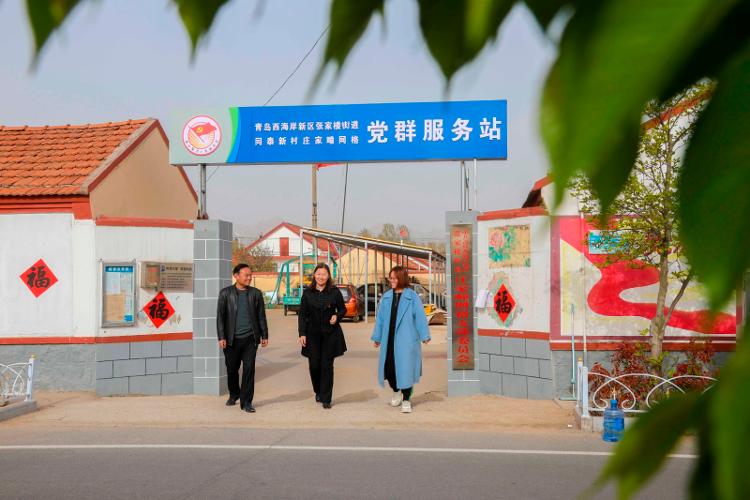 2025新澳天天開彩大全——衣冠群獸探秘，2025新澳天天開彩大全，衣冠群獸探秘之旅