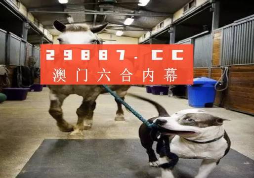 澳門一肖一碼一必中一肖，同舟前進(jìn)的奧秘與策略，澳門一肖一碼必中策略與前進(jìn)奧秘，同舟共濟(jì)的揭秘與策略